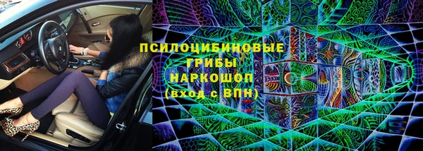 бошки Нефтегорск