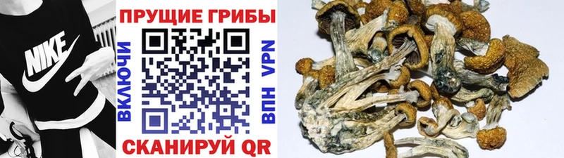 Галлюциногенные грибы ЛСД  Ачинск 